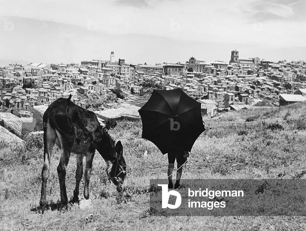 Man with a mule, Italy, 1950 (b/w photo)