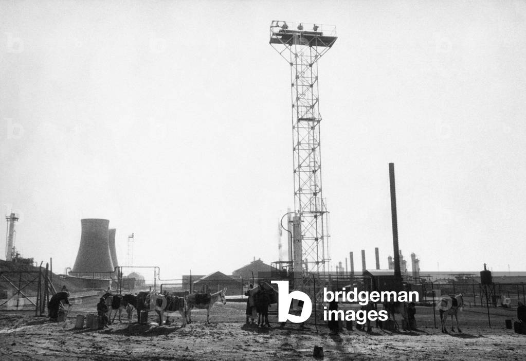 Farmers with mules out of a machinery for oil extraction, Kirkuk, Iraq