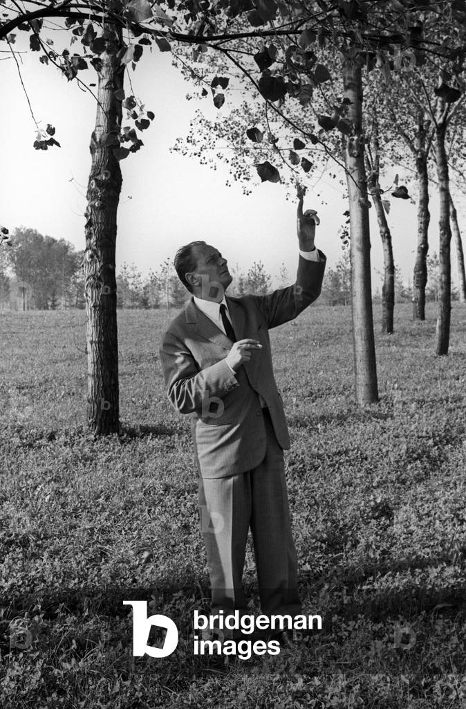 Vittorio Sereni looking at some leaves
