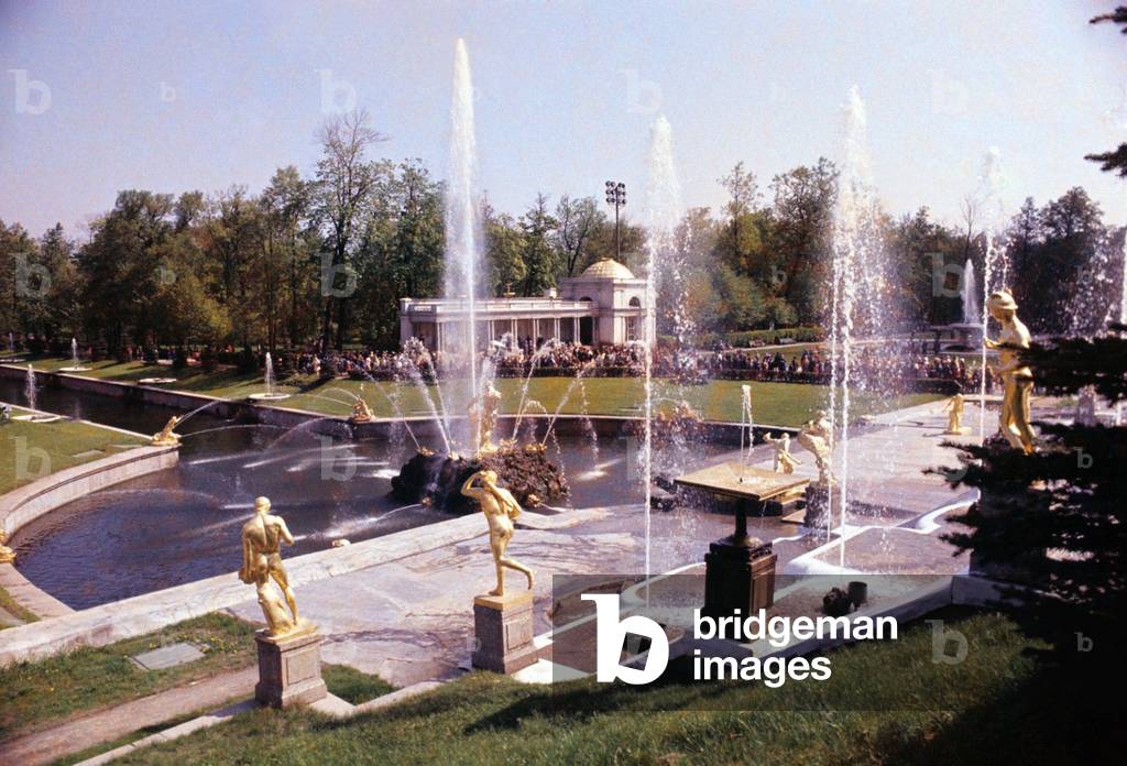Waterworks of the Samson fountain at the Peterhof Palace in Leningrad