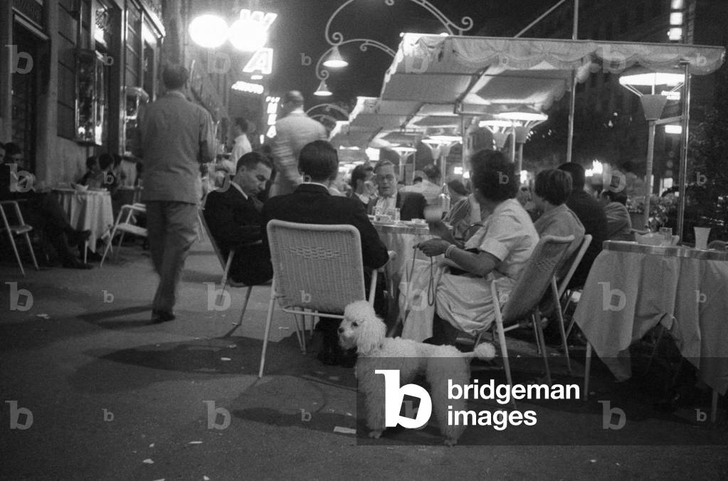 A barbet outside the CaffèRosati in Rome