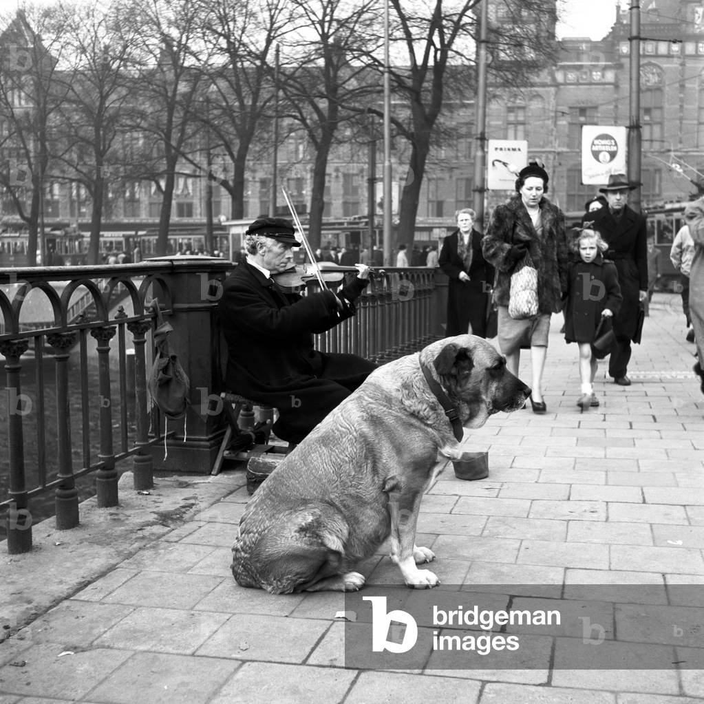 Street musician in Amsterdam, Amsterdam, Netherlands