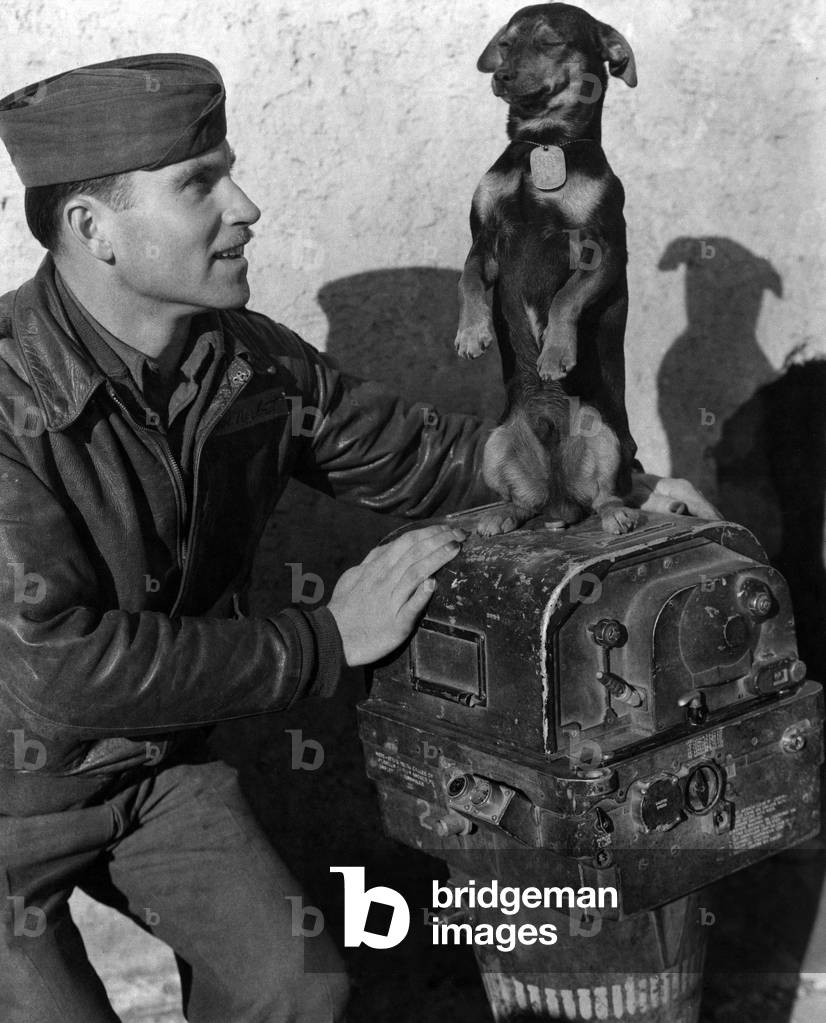 U.S. soldier with a mascot dog