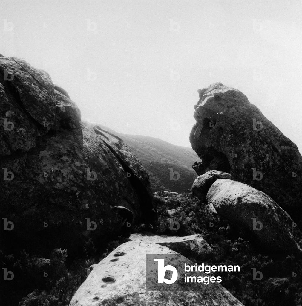 Rocks above the village of Marciana in the Elba island