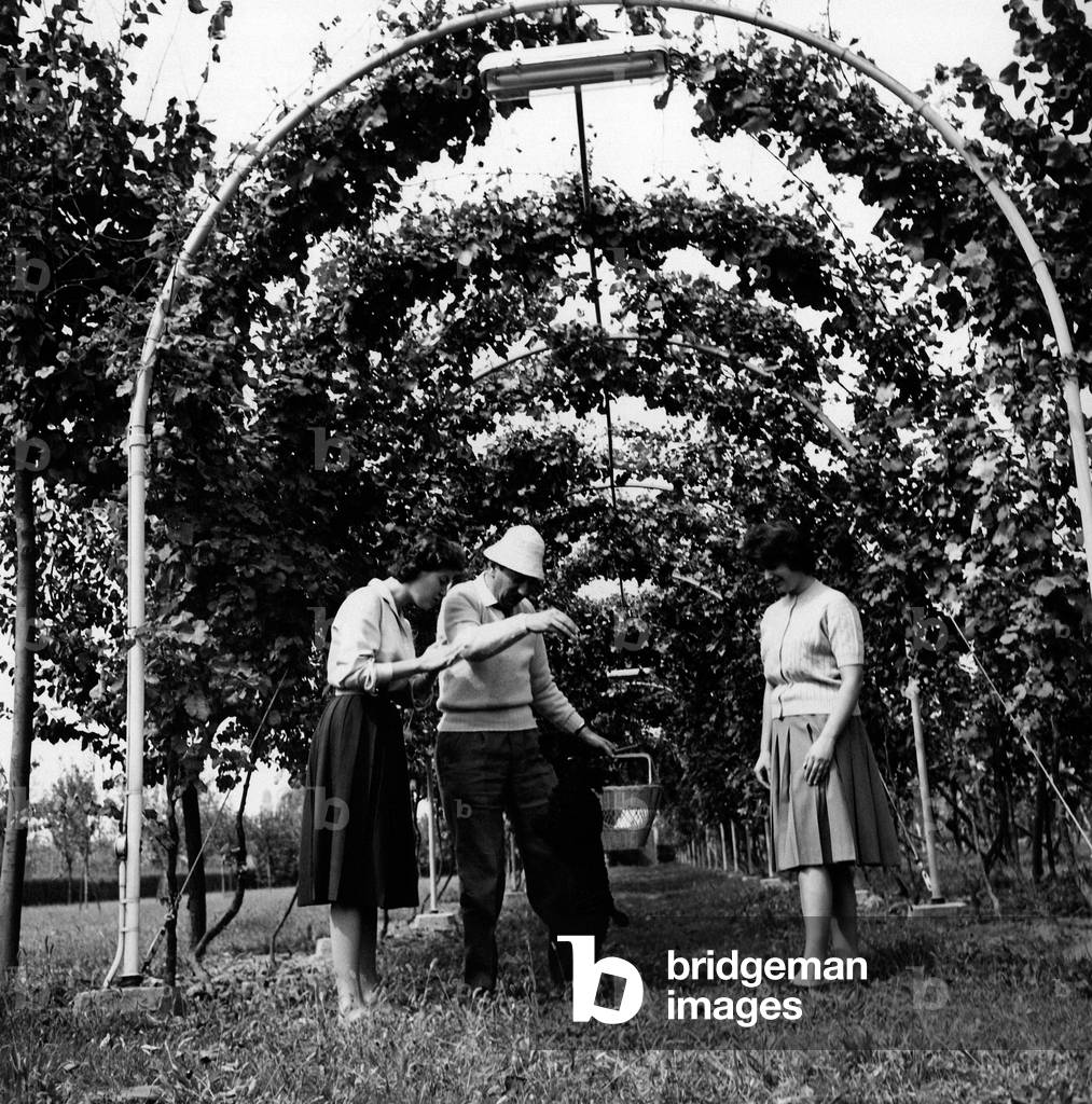 Gorni Kramer with his daughters, 1959 (b/w photo)