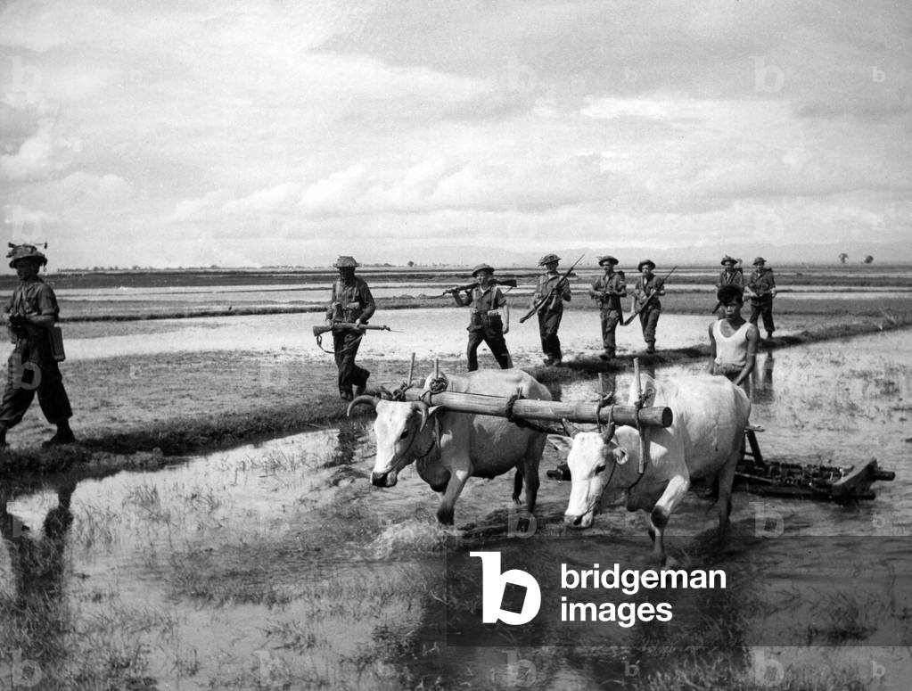 A patrol advancing across rice paddies