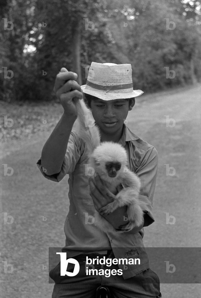 A child playing with a monkey, Angkor, Cambodia, 1960s (b/w photo)