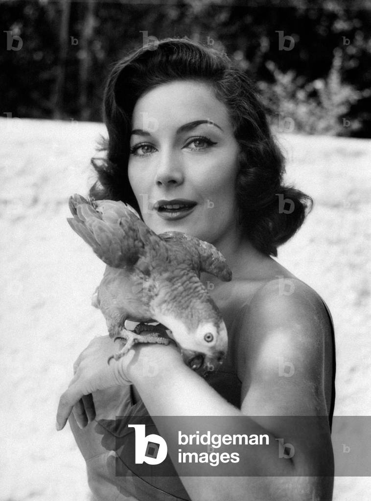 Gianna Maria Canale is smiling while keeping a parrot on her wrist, 1955 (b/w photo)