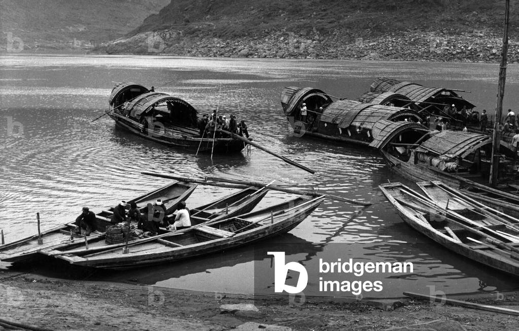 Boats gathered in a bay