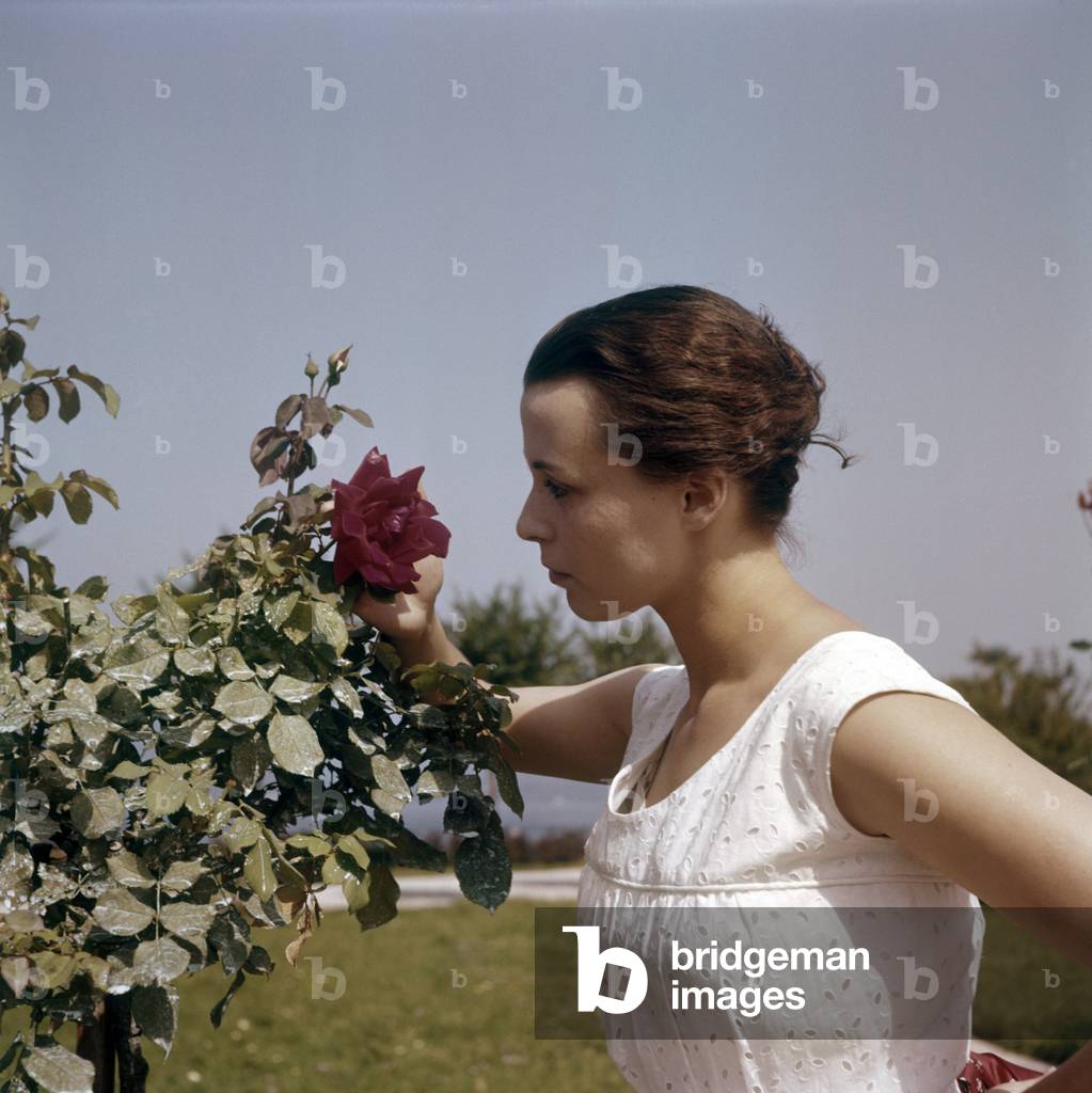 Claire Bloom observing a rose
