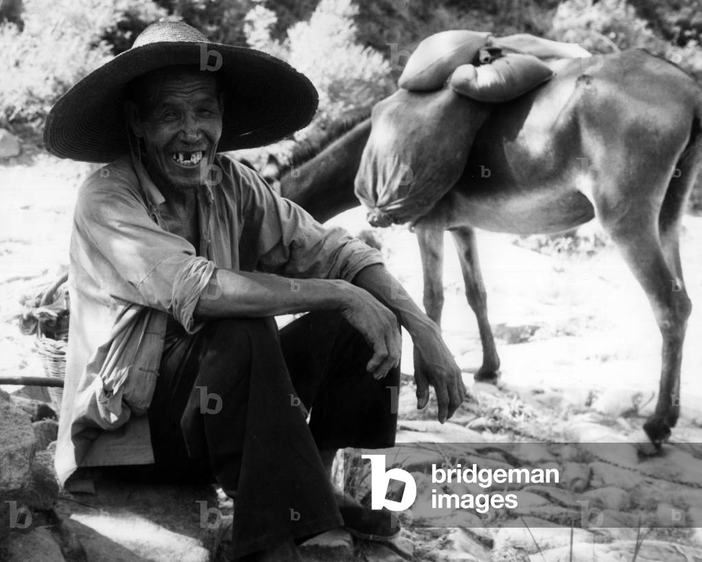 Chinese farmer