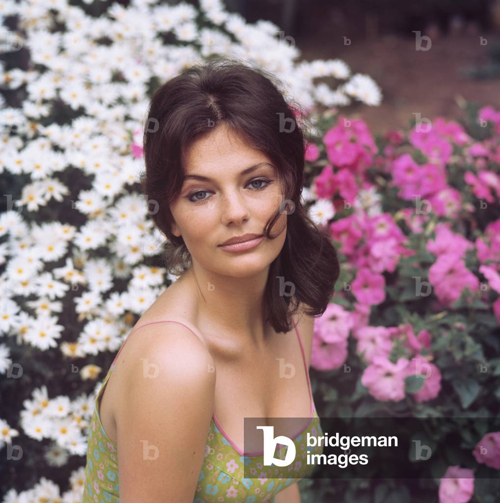 Jacqueline Bisset posing, Unspecified, 1960 (photo)