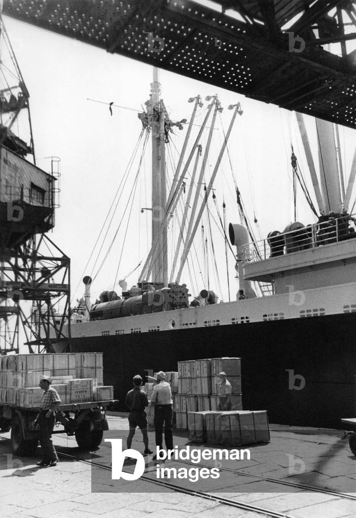 Cargo operations in the industrial port of Trieste, Trieste, Italy