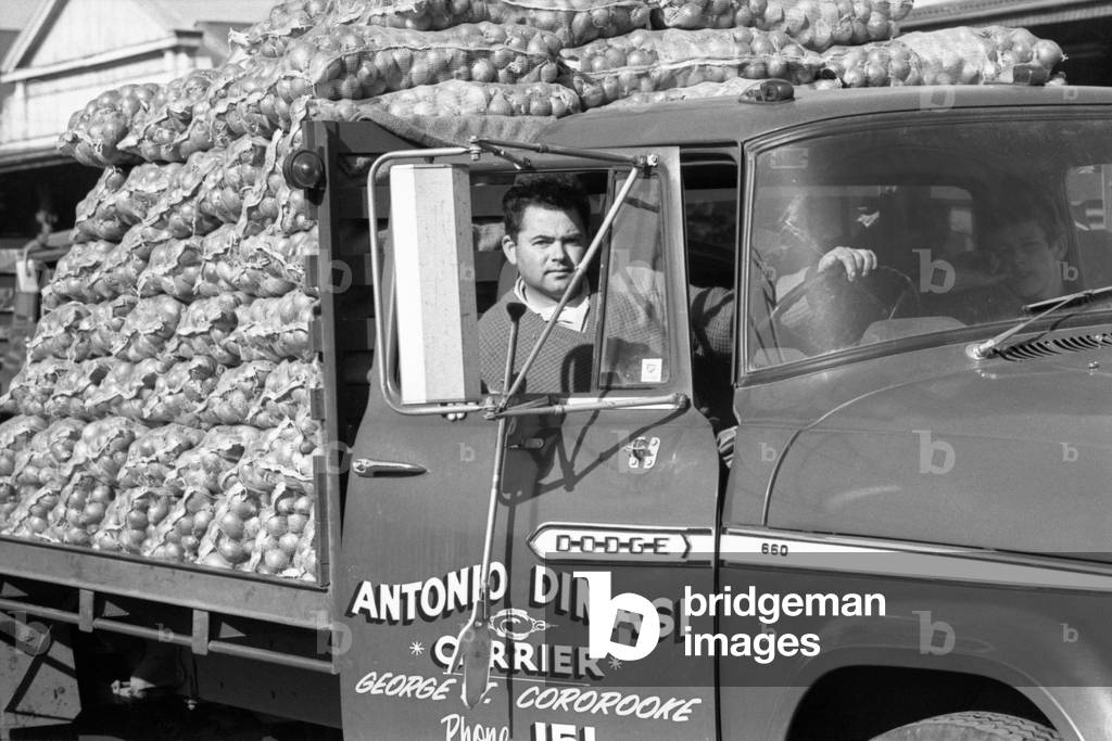 A man carrying onion bags on a lorry Antonio Dimasi, Australia, 1967 (b/w photo)