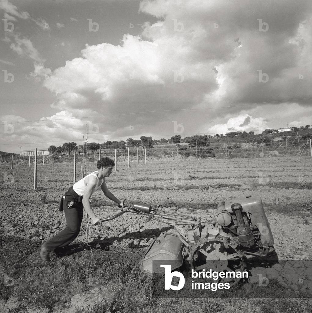 Boy of the Nomadelfia community working the land