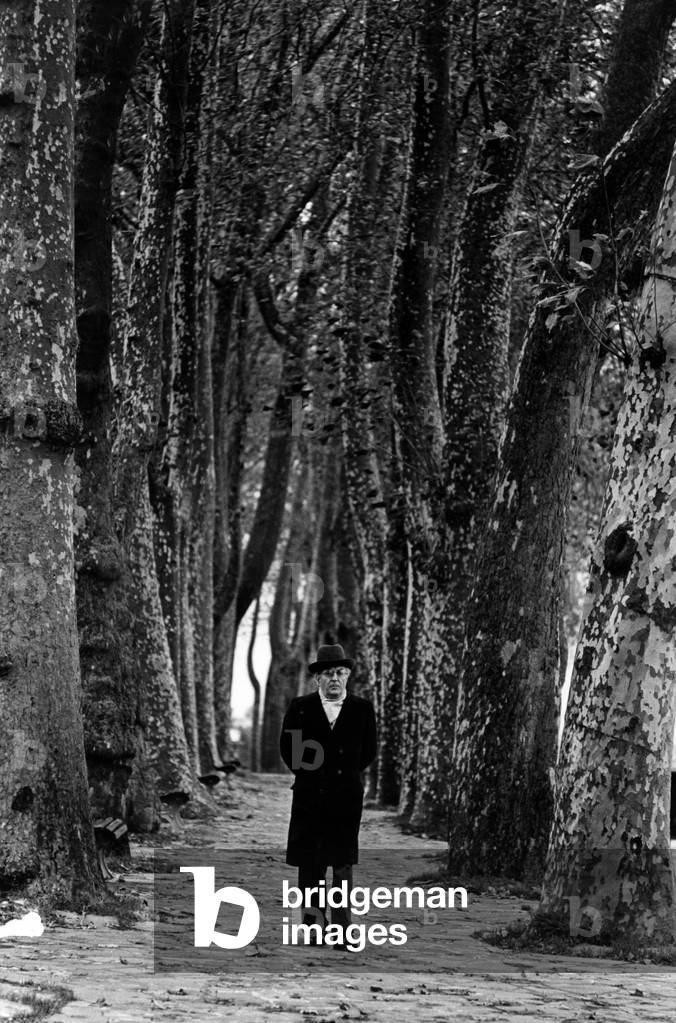 Writer Piero Chiara strolls along a tree-lined road, Varese, Italy, 1976