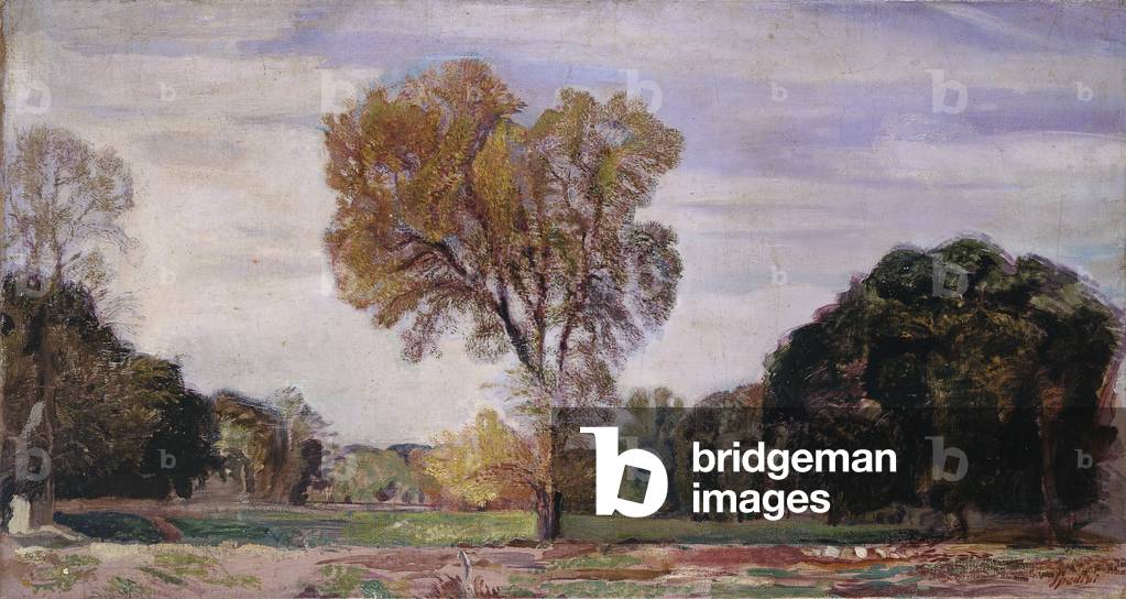 Elm and live oaks, 1920 (oil on canvas)