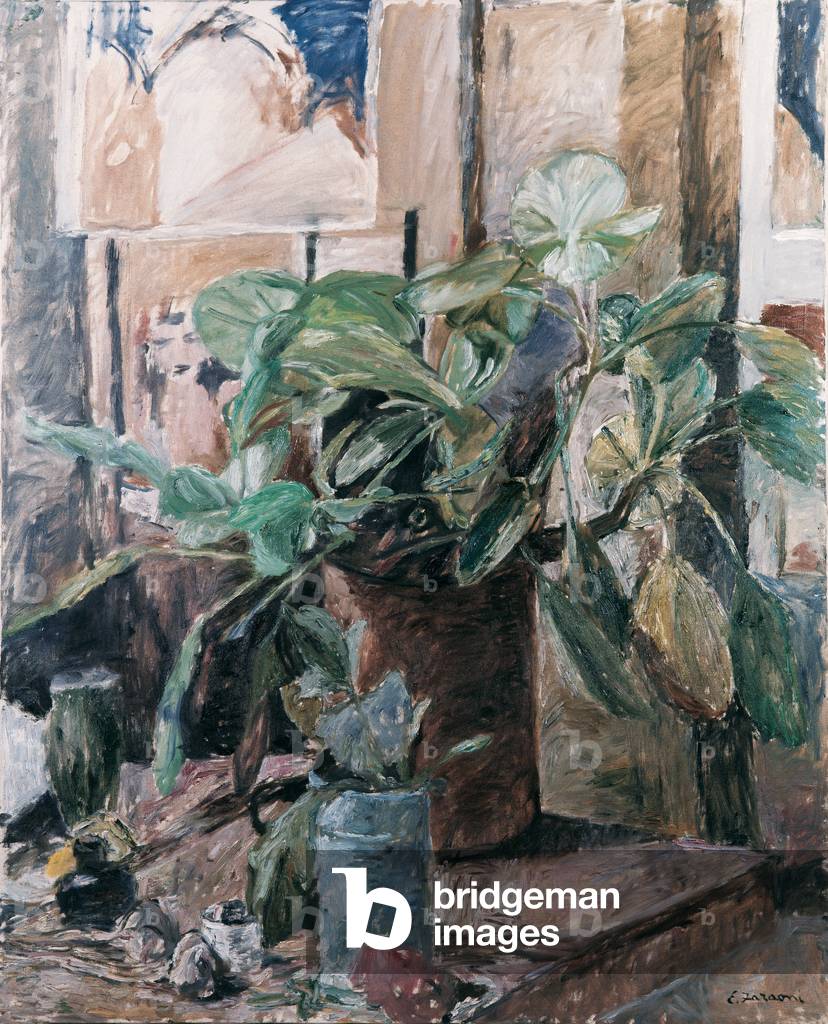 Philodendron, c.1968 (oil on canvas)