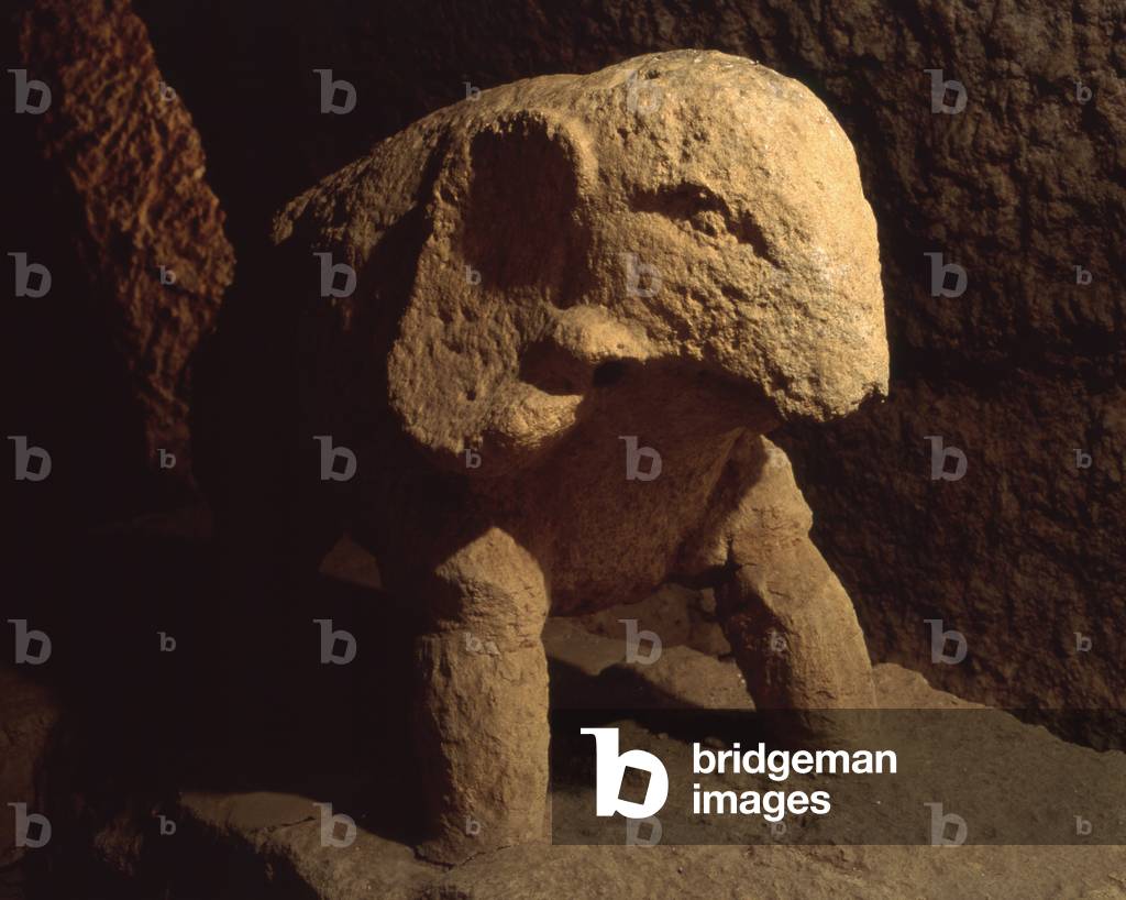 Head of a Little Elephant, by Unknown Artist, 8th Century b.C., stone