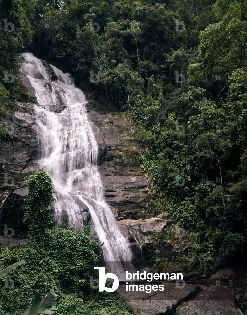 Waterfall near Rio de Janeiro