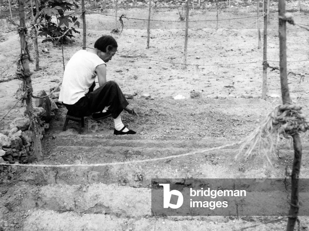A woman working at her garden