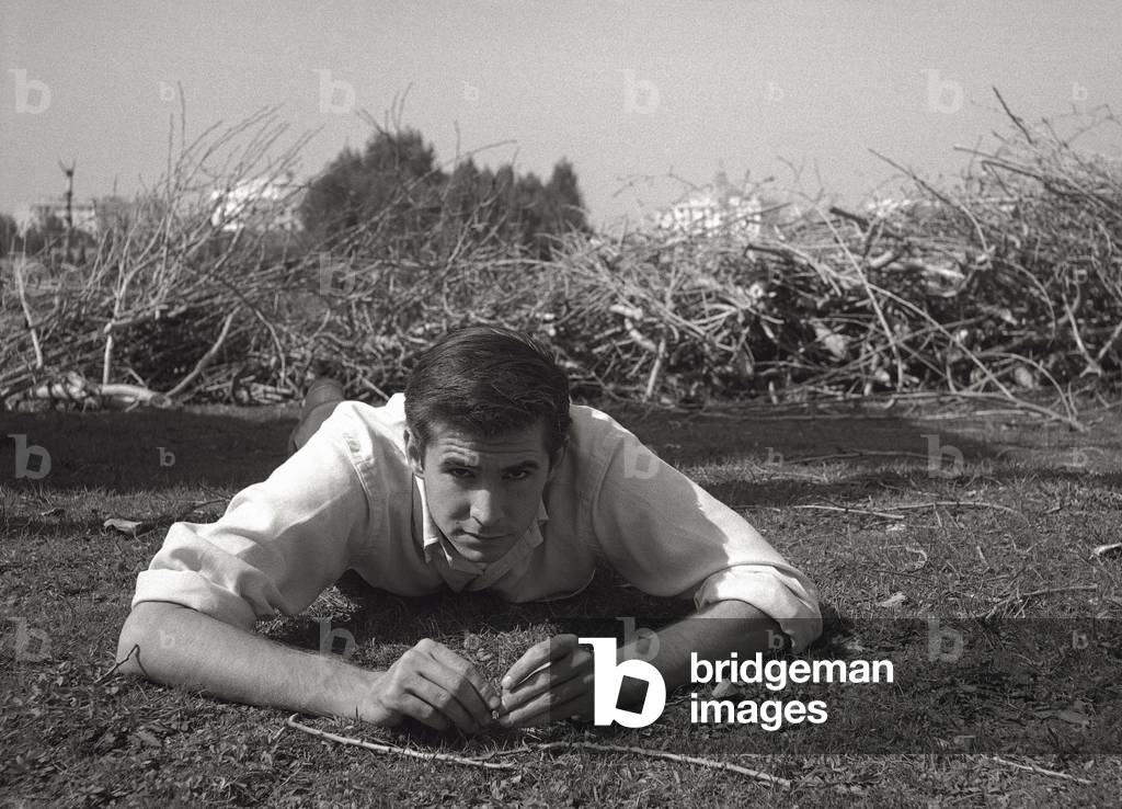 Anthony Perkins is sat down on the grass, 1957 (b/w photo)