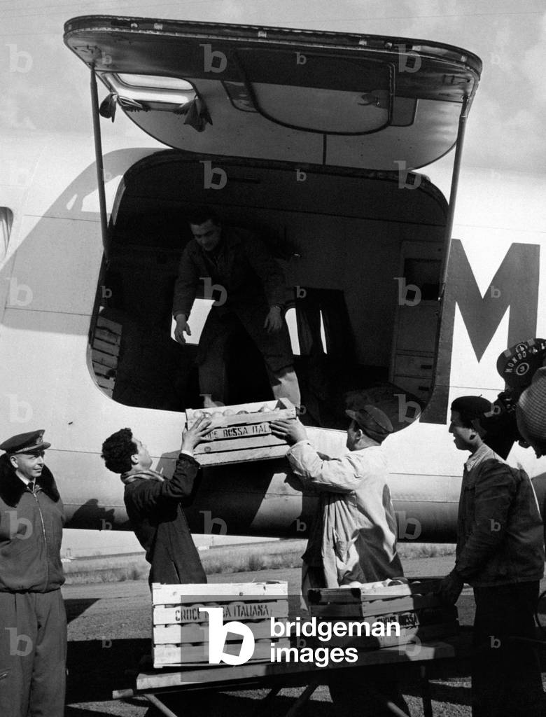 Boxes of food departing for the flooded Netherlands