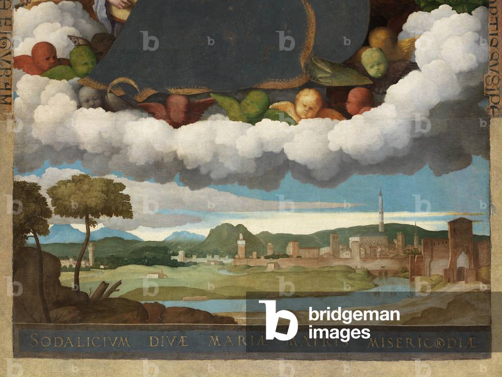 Madonna of the Stars, 1519 (oil on canvas)