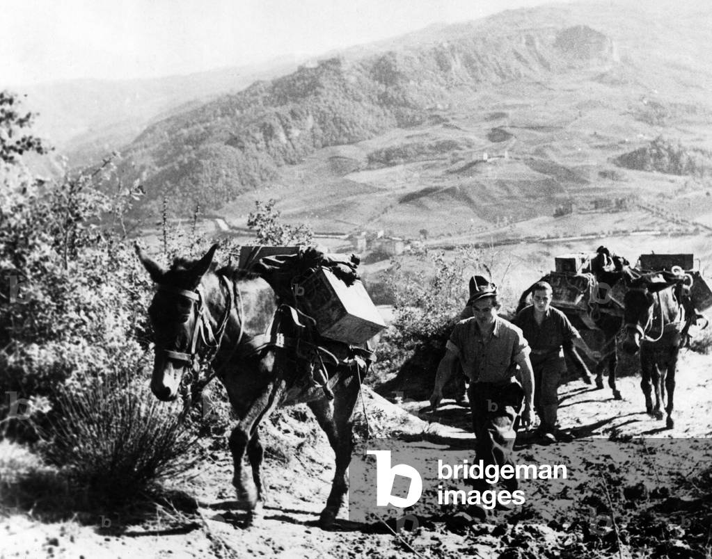 Italian supplies for the U.S. Fifth Army