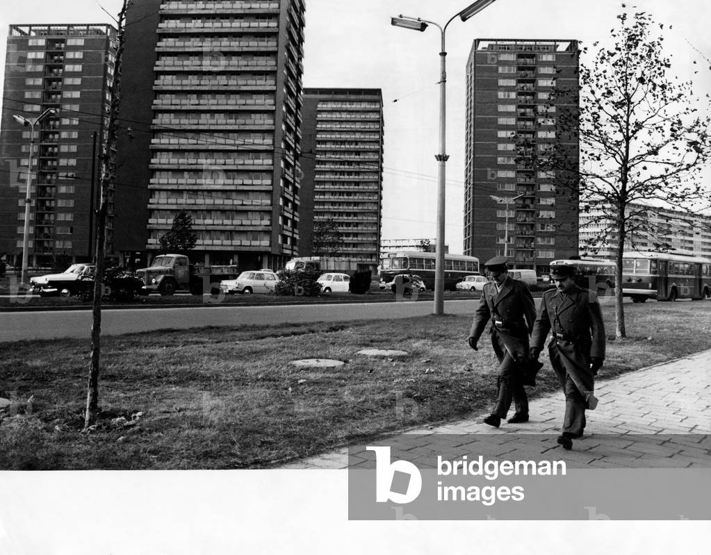 The residential district of New Belgrade, 1965 (b/w photo)