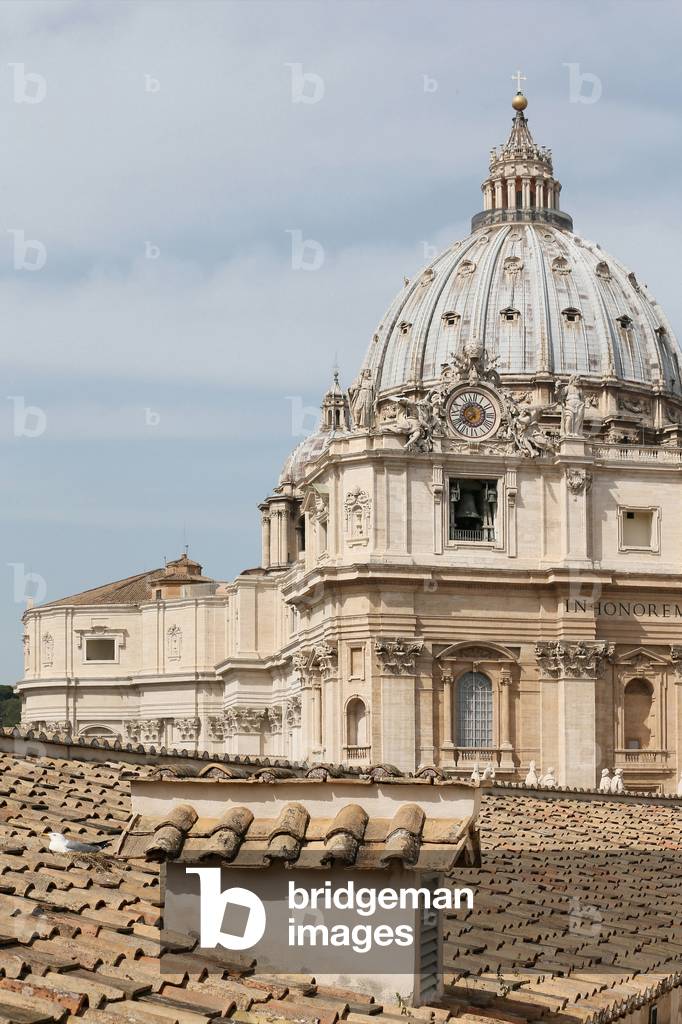 Divine Mercy Sunday, Vatican, 2016 (photo)