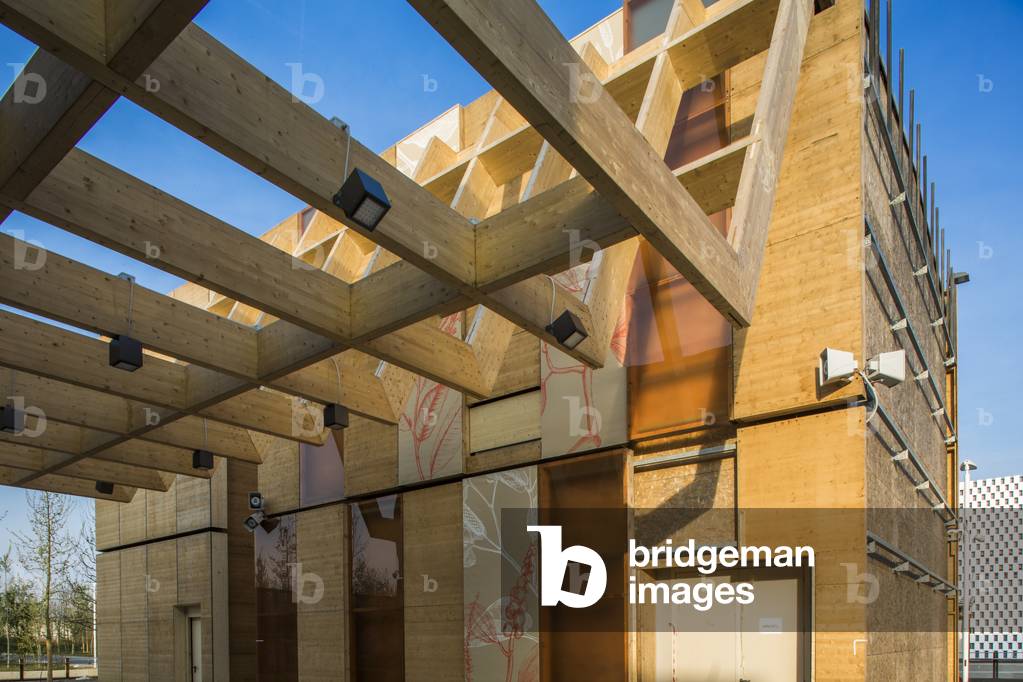 The World of Spices, Expo 2015, Milan, Italy, 2015 (photo)