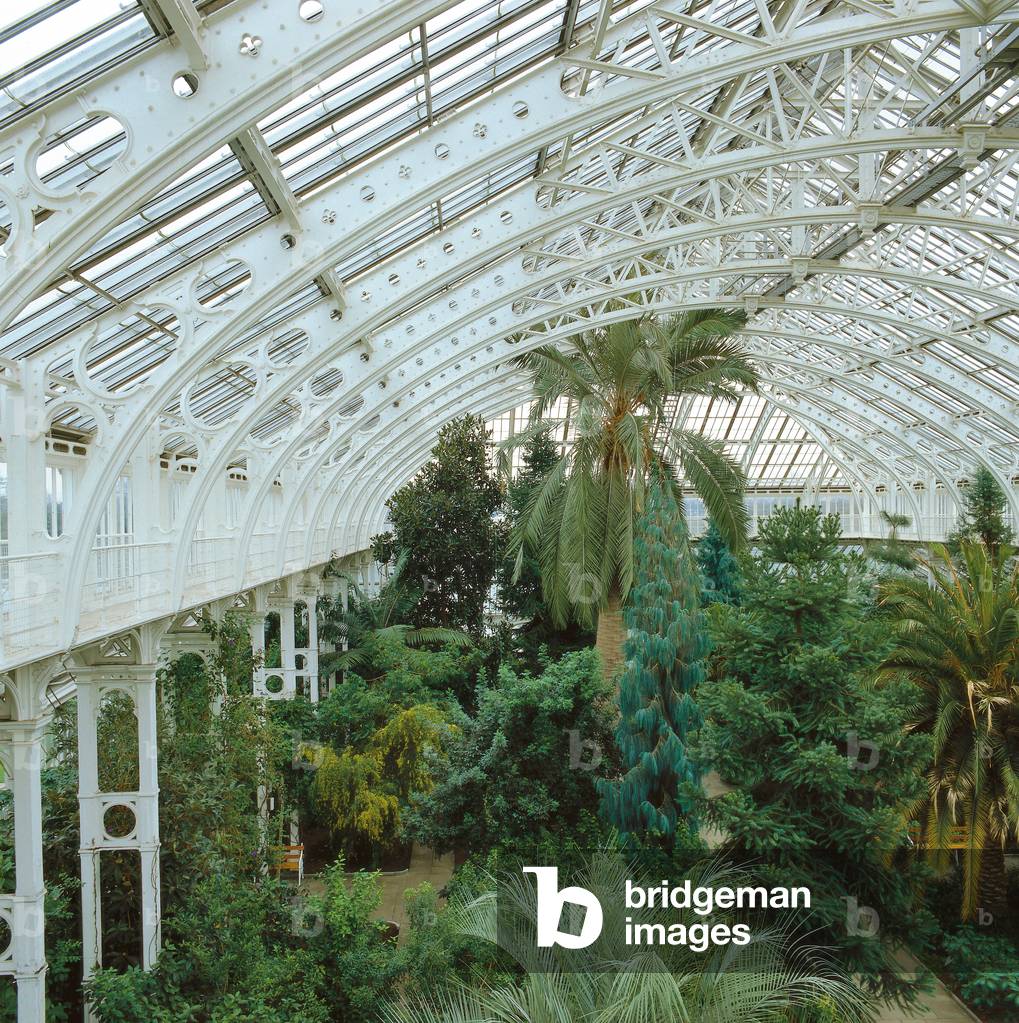 Kew Gardens. Palm House, 1844 - 1848, 19th Century, iron and glass