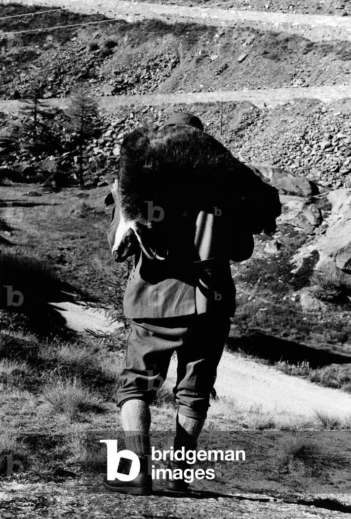 Game warden carrying a killed chamois at the Gran Paradiso Park