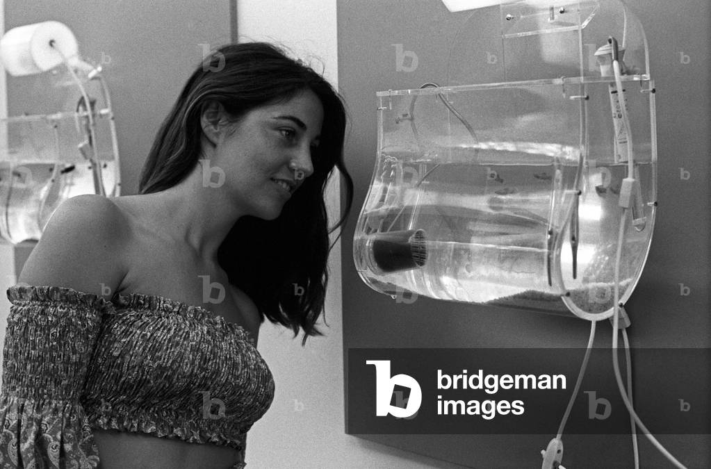 A girl observing a work by Luis Fernando Benedit at the 35th Venice Biennale