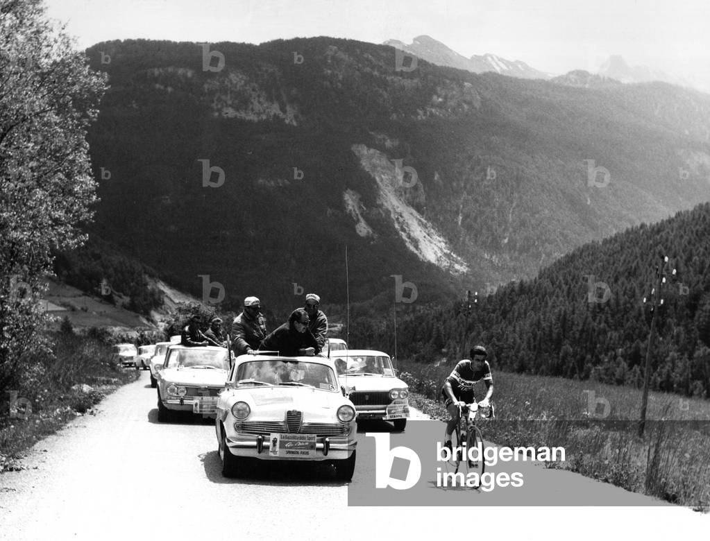 Franco Bitossi cycling