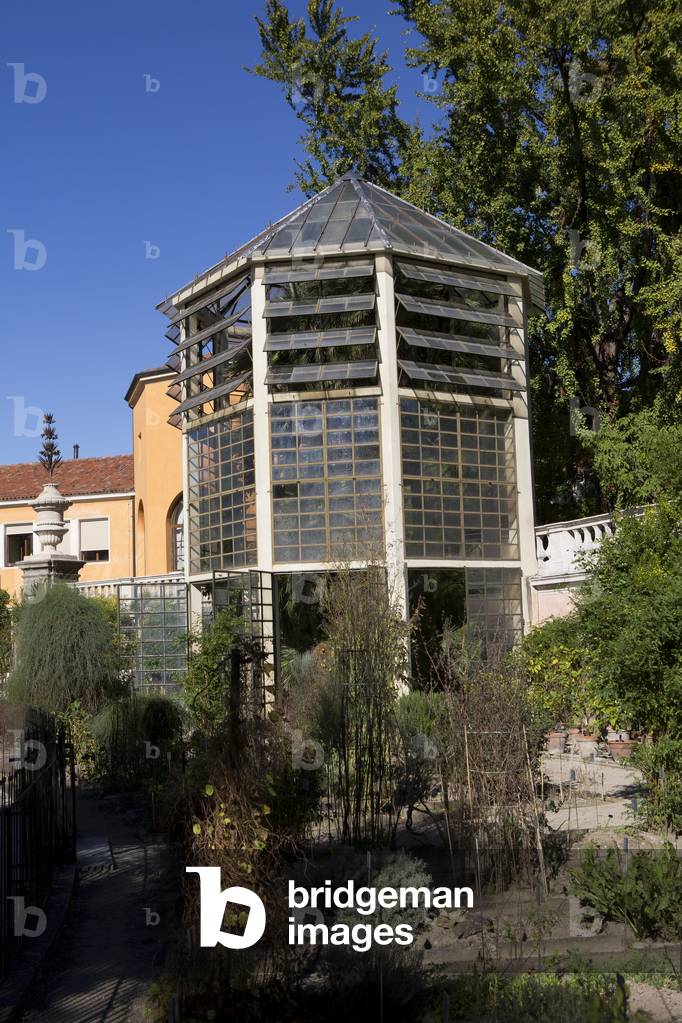 Botanical garden, Goete palm tree hause, Padua, Veneto, Italy