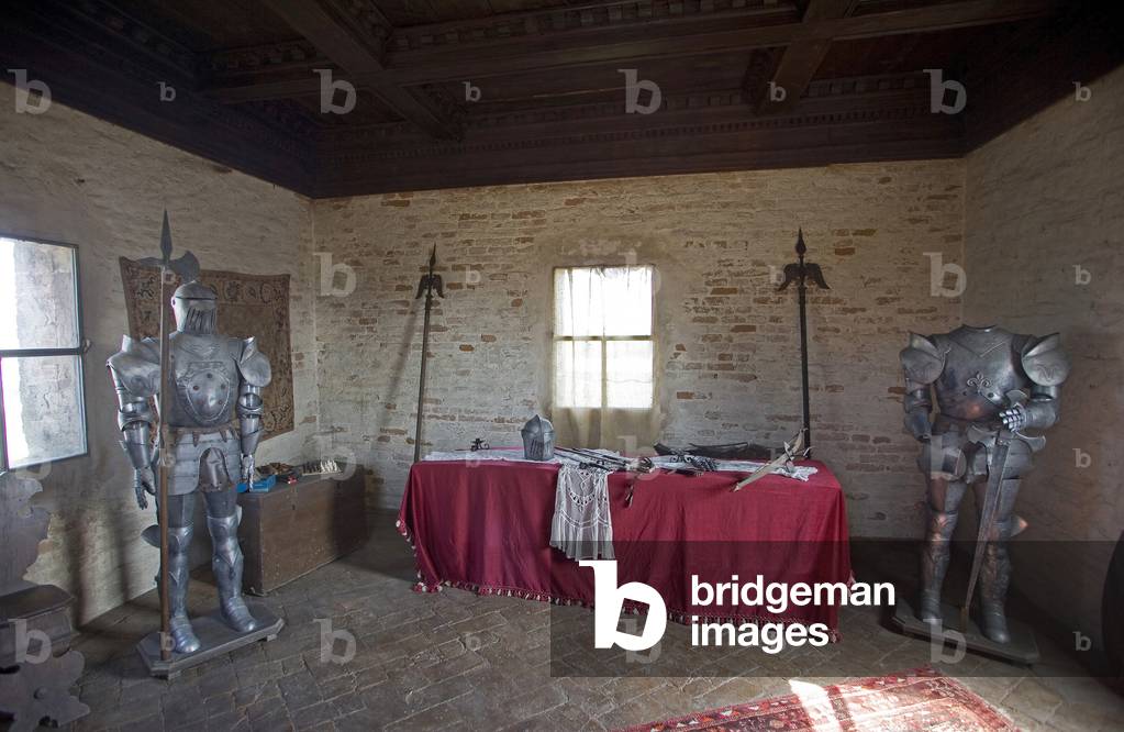 San Pelagio Castle, Museum, aircraft, Due Carrare, Veneto, Italy, 2010 (photo)