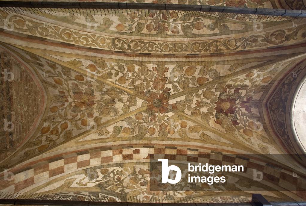 Ragione palace, Padova, Veneto, Italy (photo)