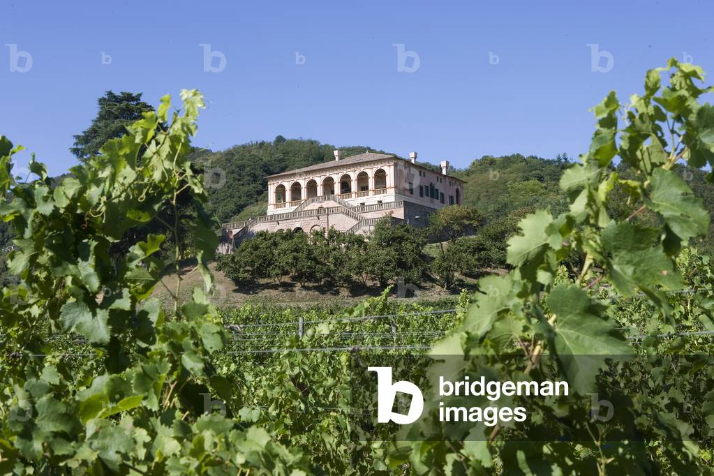 View of Villa dei Vescovi, Luvigliano, Veneto, Italy (photo)