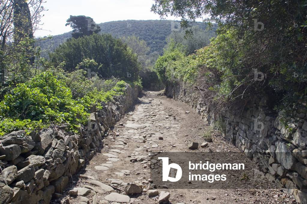 Etruscan road, Populonia Alta, Tuscany, Italy (photo)