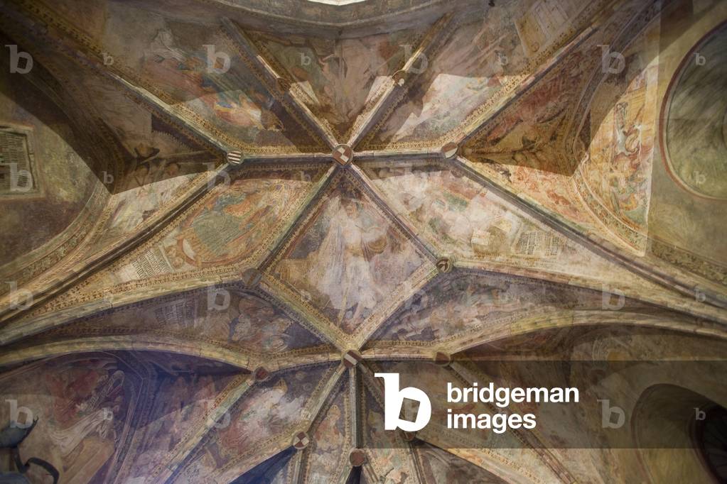 St. Nicolas church, St. Nicolas cathedral, frasco, ceiling Panzin, Croatia, Istria  (photo)