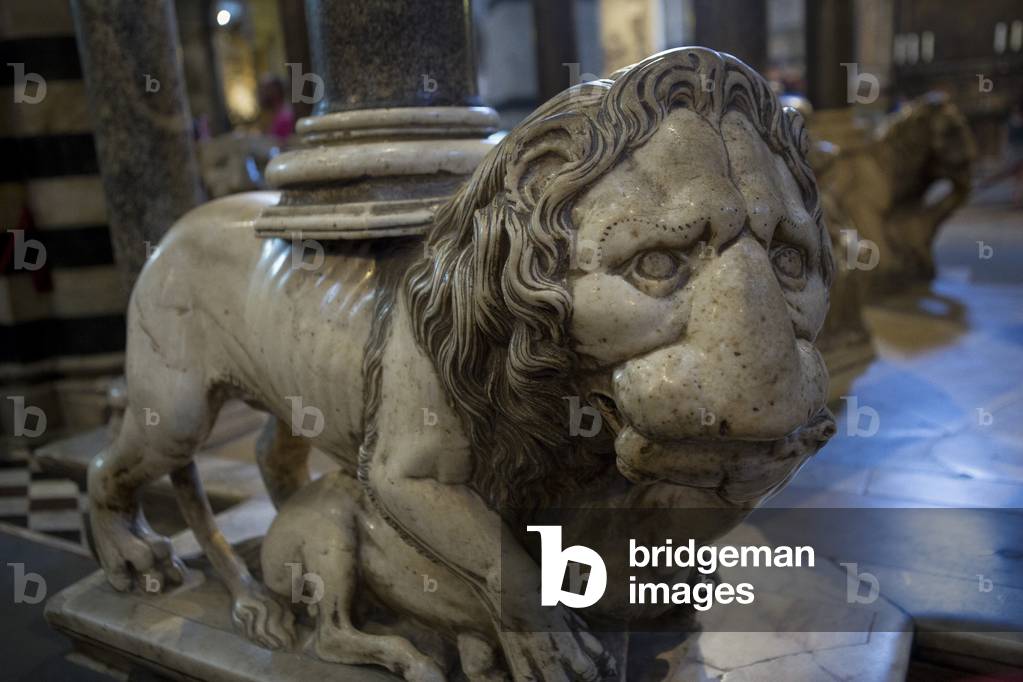 Saint Maria Assunta dome, church, pulpit, lion, Siena, Tuscany, Italy (photo)