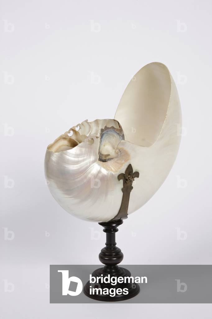 Cup with polished and pierced Nautilus shell