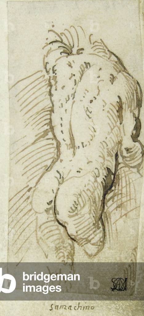 Male Nude
