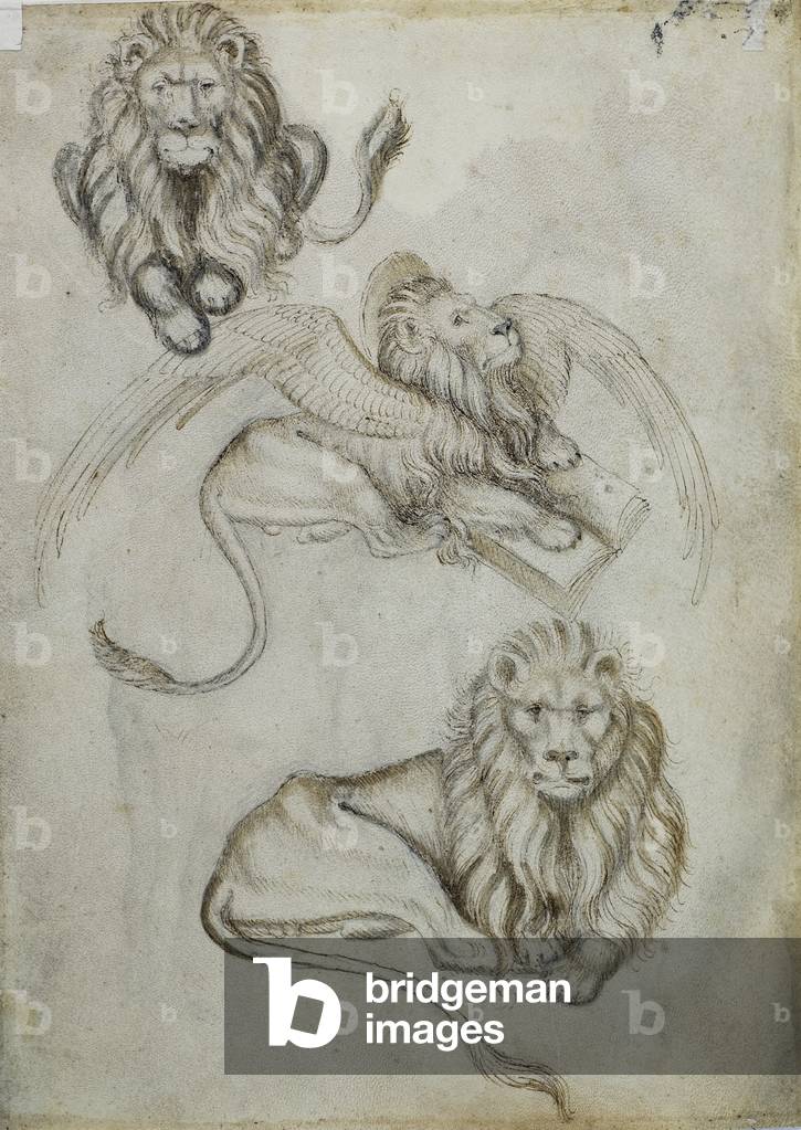 Three Lions