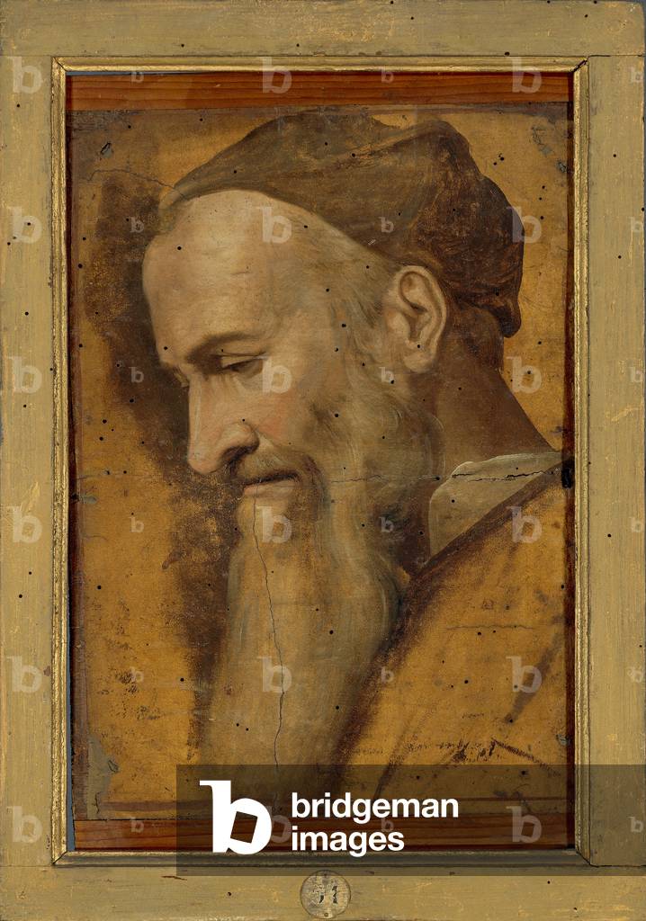 Bearded Old Man's Head with Hat seen in Profile