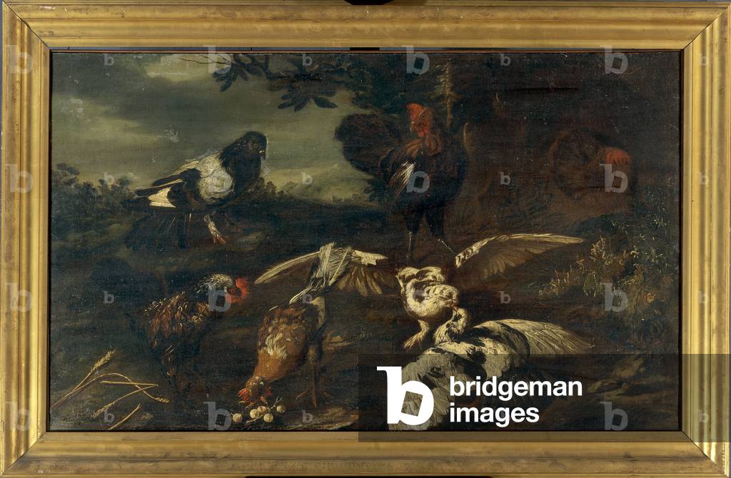 Rooster, Hens and, Pigeon in the Open Air