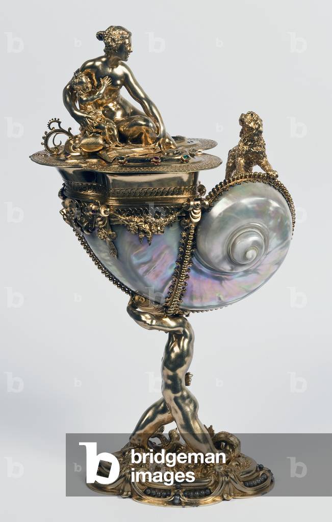 Cup with Turbo marmoratus shell