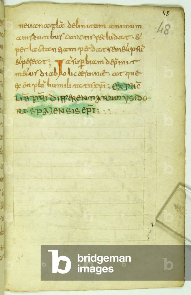 Differentiarum libri duo